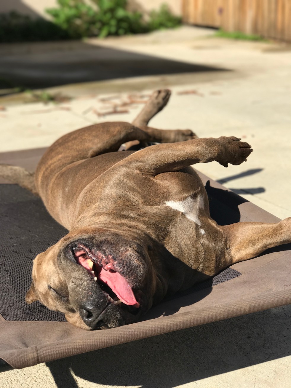 5E284CD6-F18D-4F4B-962F-6752B65DB207